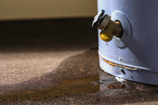 Best Fire Damage Restoration  in Lake Clarke Shores, FL
