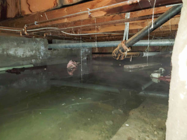 Reliable Lake Clarke Shores, FL Water damage restoration Solutions