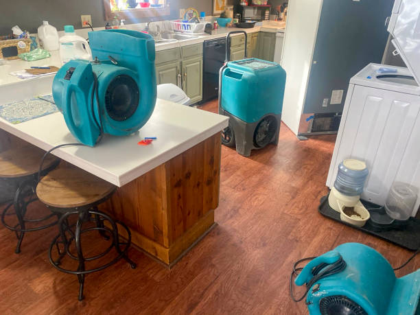 Best Flooded house restoration  in Lake Clarke Shores, FL