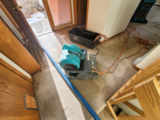Trusted Lake Clarke Shores, FL Water damage restoration Experts