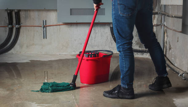 Best Basement water damage restoration  in Lake Clarke Shores, FL