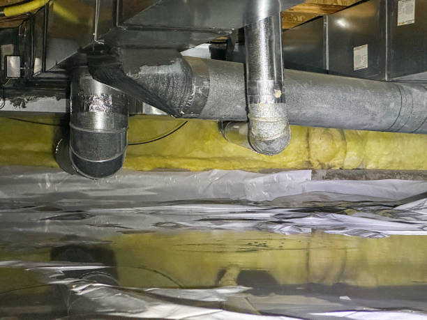 Best Sewage cleanup and water damage restoration  in Lake Clarke Shores, FL