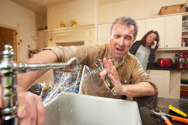 Best Professional water damage repair  in Lake Clarke Shores, FL